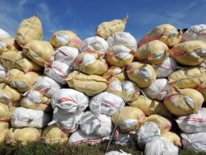 Pemerintah Luncurkan Program Bantuan Pangan untuk Daerah Terpencil